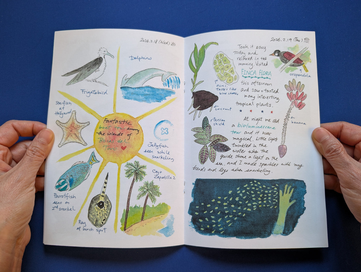 An open handmade illustrated journal held by two hands against a solid blue background. The pages feature colorful watercolor drawings of marine life, plants, and handwritten notes.