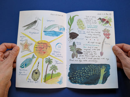 An open handmade illustrated journal held by two hands against a solid blue background. The pages feature colorful watercolor drawings of marine life, plants, and handwritten notes.